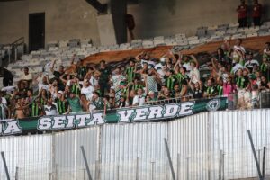 Torcida do Amrica no Mineiro (foto: Alexandre Guzanshe/EM/D.A Press)