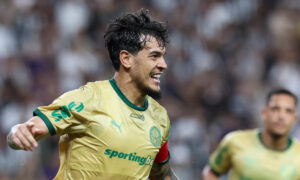 Palmeiras venceu o Cear (foto: Cesar Greco/Palmeiras)