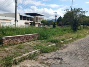 Mato alto, lixo, animais peçonhentos e aparelhos quebrados afastam frequentadores das Praças no Primavera