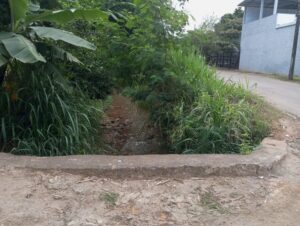 Moradores do Santa Terezinha, em Timóteo, pedem limpeza de córrego e proteção em ponte