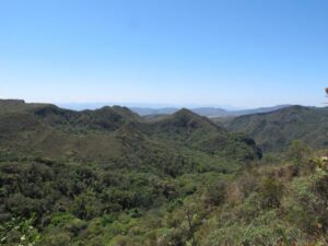 Minas Gerais reduz em 25% o desmatamento na Mata Atlântica