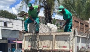 Cemig retira 3,6 toneladas de cabos de telecom irregulares em postes neste ano