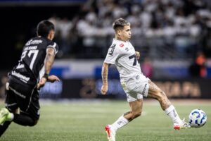 Lance do jogo entre Santos e Cear pelo Campeonato Brasileiro (foto: Divulgao / Santos)