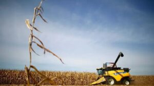 Agrishow 2024: R$ 14,6 bilhões em negócios gerados em cinco dias