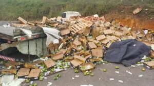 Caminhão tomba na BR-381 em Nova Era e causa interdição total