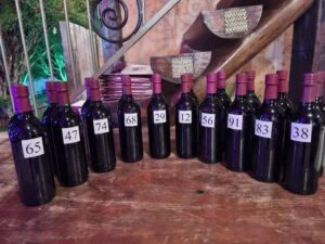 Catas Altas celebra 24ª Festa do Vinho com cultura e sabor