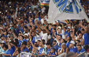 Torcedores do Cruzeiro no Mineiro, em Belo Horizonte, na vitria sobre o Flamengo (foto: Ramon Lisboa/EM/D.A Press)