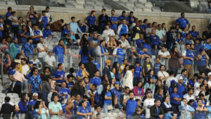 Torcida do Cruzeiro no Mineiro, em Belo Horizonte (foto: Alexandre Guzanshei/EM/D.A. Press)