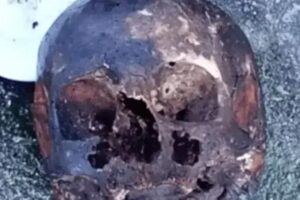 Mistério no litoral de SP: crânio e carta enigmática são encontrados