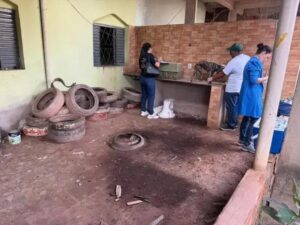 Operação em Ipatinga revela maus-tratos a cães em canil clandestino