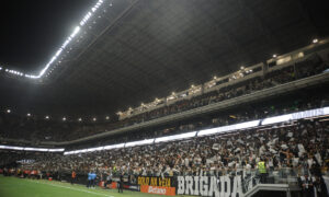 Torcida do Atltico na Arena MRV (foto: Alexandre Guzanshe/EM/DA.Press)