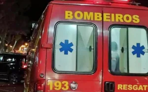 Motorista morre em capotamento de caminhão na BR-259, em Virginópolis