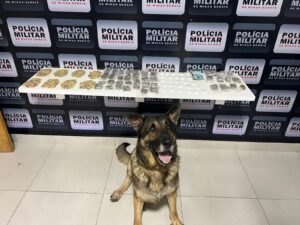 PM faz apreensão de 800 comprimidos de ecstasy, maconha, cocaína e haxixe em Manhuaçu