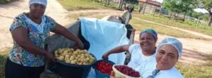 Comunidade de Gerais Velho investe em polpas de frutas do Cerrado com apoio da Emater-MG