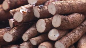 Custo das festas juninas de 2025 é afetado por alta de preços de ovos e mandioca
