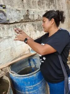 Ipatinga registra queda no índice de Aedes aegypti, mas mantém alerta