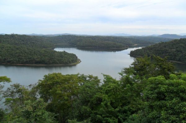 Parque Estadual do Rio Doce monta trilhas para ciclistas ⋆ Negócios Já!