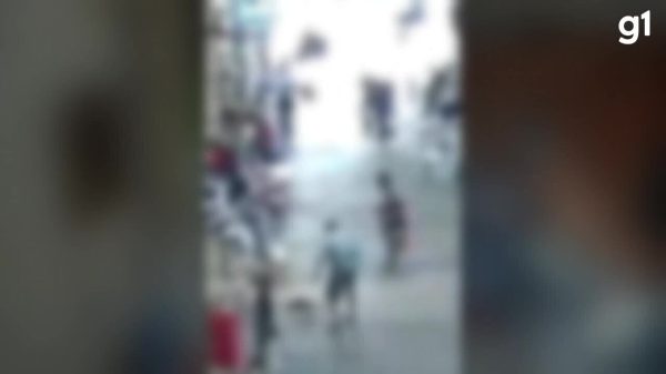 Idoso tenta matar gato a pauladas dentro de Mercado Municipal em MG; vídeo