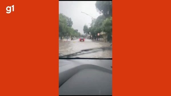 Temporal com fortes ventos derruba árvores e causa transtornos em Governador Valadares