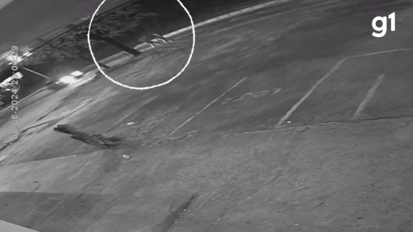 VÍDEO: Polícia tenta identificar carro em alta velocidade que matou pedestre na BR-116, em Caratinga