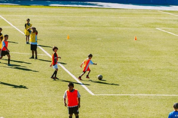 Existe uma inversão no aprendizado esportivo - 23/01/2024 - Tostão