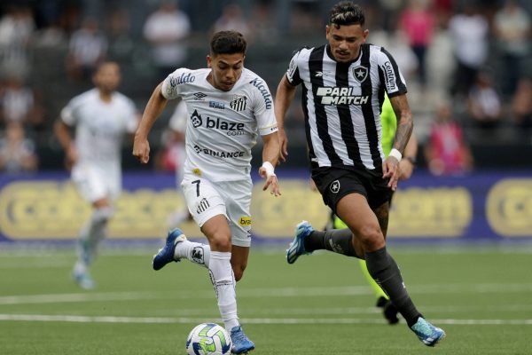 No Brasileirão, chegou o momento de a onça beber água - 28/11/2023 - Tostão