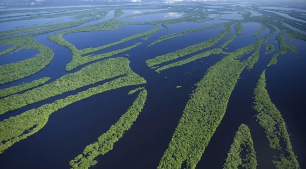 Amazônia pode passar por seca severa nos próximos meses » Portal MaisVip