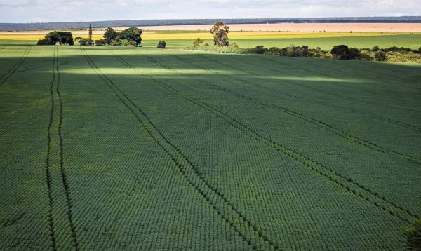 Estudo aponta desafios do seguro rural em meio a mudanças climáticas - Portal ZUG - Vale do Aço