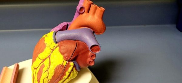 Cuidados com o coração: quando buscar um cardiologista?