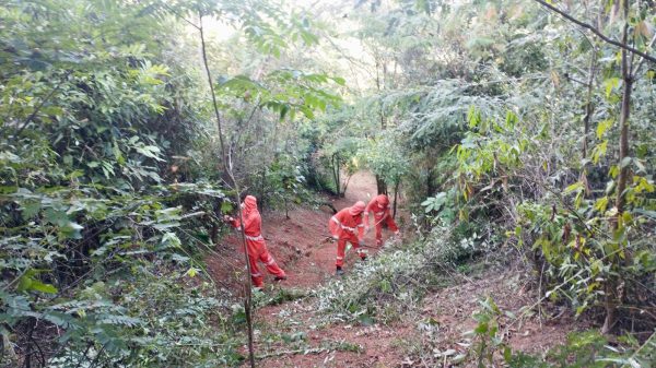 Ipatinga avança em ações de conscientização, prevenção e combate às queimadas - Portal ZUG - Vale do Aço