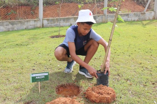 Abertas as inscrições para municípios interessados em participar do Jovens Mineiros Sustentáveis 2024