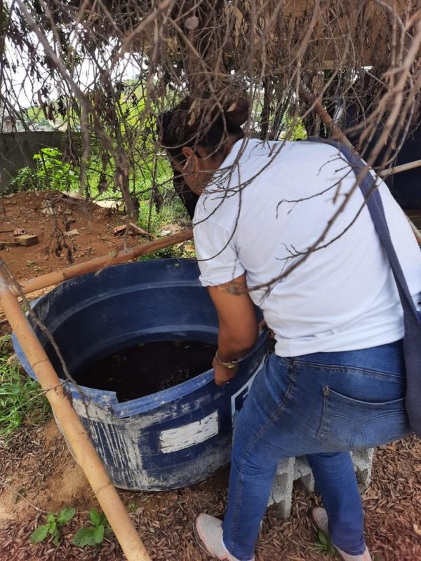 Ações intensificadas contra arboviroses em Ipatinga