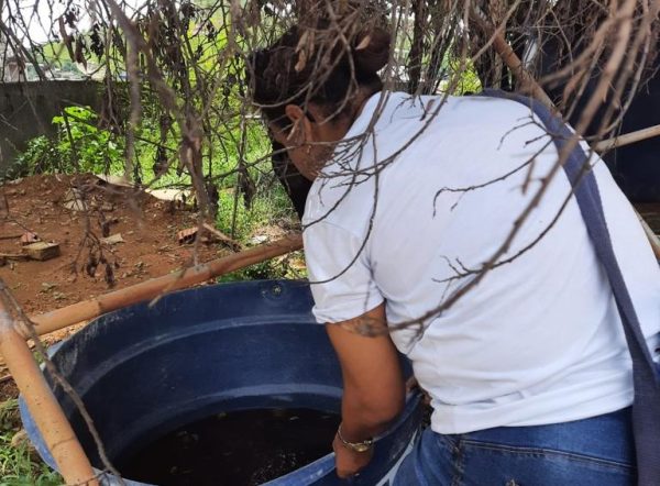 Ações intensificadas contra arboviroses em Ipatinga