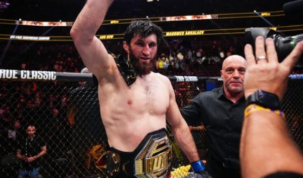 Magomed Ankalaev, campeo do UFC (foto: Jeff Bottari/Zuffa LLC)