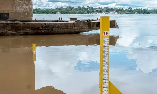 Auxílio a pescador atingido por seca no Norte começa a ser pago hoje