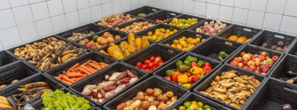 Estado reforça investimentos para promover segurança alimentar em Minas Gerais