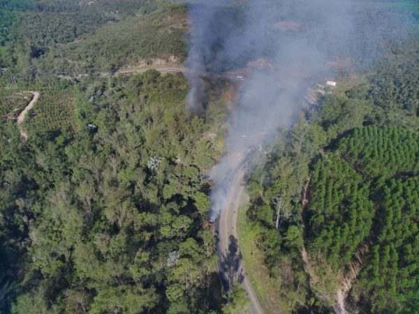 CENIBRA impede propagação de incêndio florestal na BR-381, em área de mata nativa, vizinha ao Projeto Abrecampo