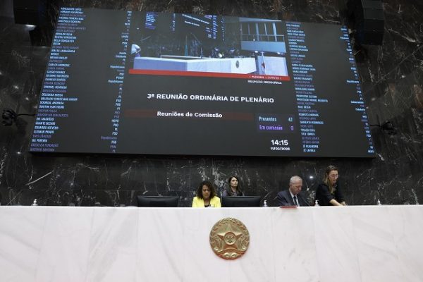 Composição das comissões permanentes da ALMG é lida no Plenário