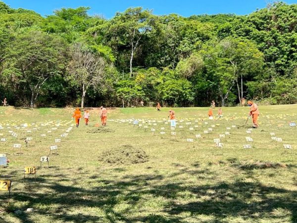 Concluído o processo para reservas de novas sepulturas perpétuas no Cemitério Senhora da Paz