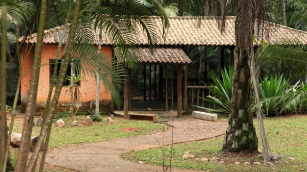 Conheça a pauta da reunião ordinária do CODEMA de Timóteo do próximo dia 15 de maio