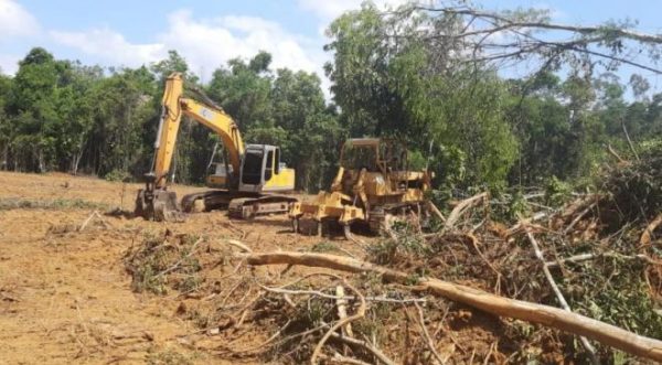 Crime Ambiental no Licuri leva quatro pessoas para a cadeia. Máquinas são empreendidas