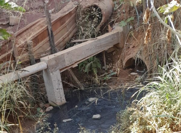 Em pleno Século XXI, moradores do Revés do Belém vivem à margem da política de saneamento básico