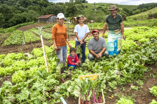 Emater lança site de venda de produtos da agricultura familiar