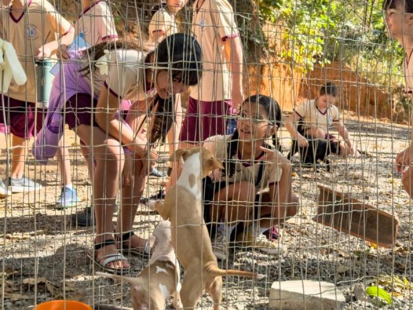 Estudantes conhecem de perto o trabalho da Zoonoses em Ipatinga durante visita técnica educativa