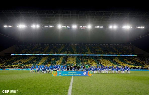 Mosaico de torcedores brasileiros para Carlo Ancelotti (foto: @rafaelribeirorio I CBF)