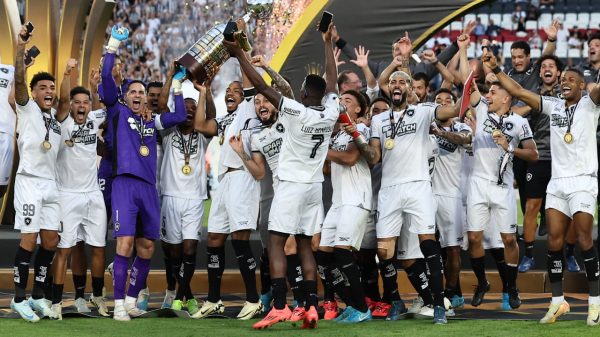 Gatito foi um dos responsveis por erguer a taa da Libertadores pelo Botafogo (foto: ALEJANDRO PAGNI / AFP)