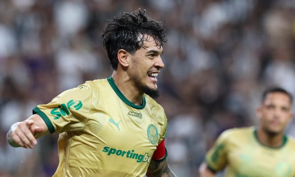 Palmeiras venceu o Cear (foto: Cesar Greco/Palmeiras)