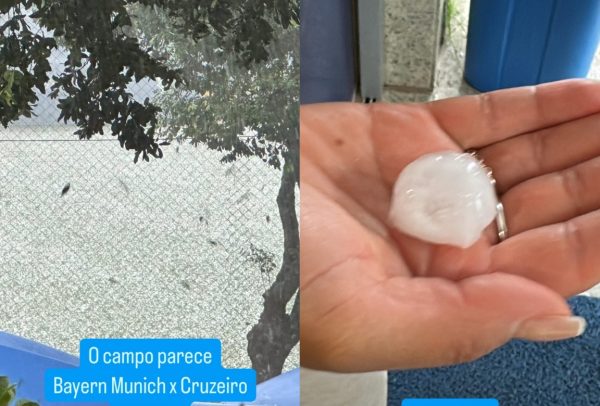 Caiu granizo no gramado da Toca da Raposa (foto: Reproduo/Instagram)