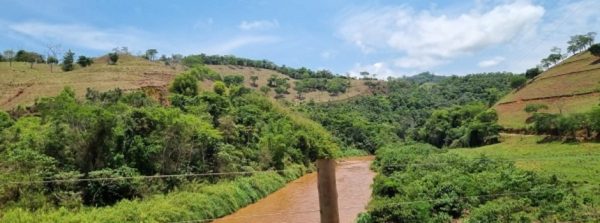 IEF divulga quinto edital de notificação de análises do Cadastro Ambiental Rural