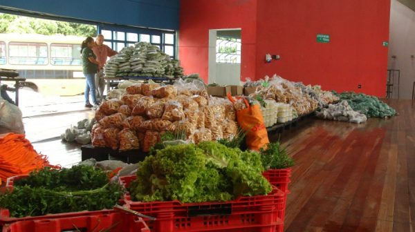 Programa repassa primeira remessa de alimentos da agricultura familiar para famílias em vulnerabilidade nutricional